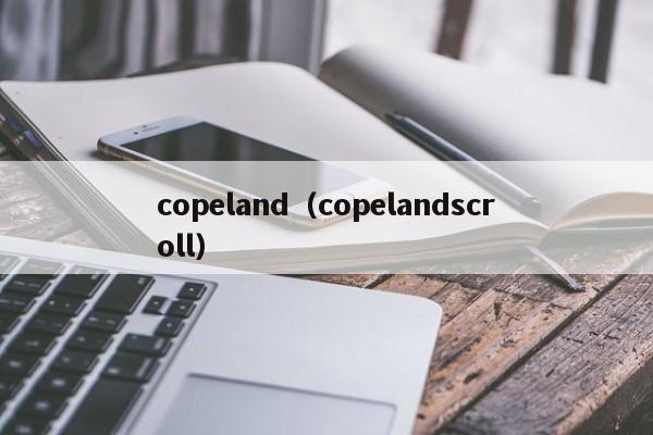 copeland（copelandscroll）